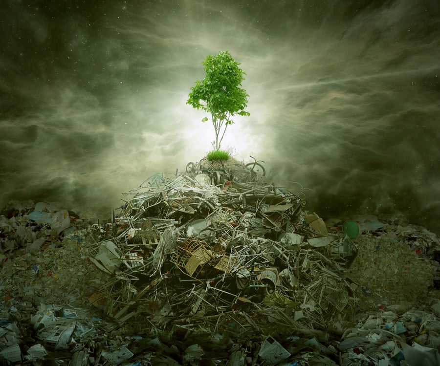 How Hazardous Waste Disposal Affects The Environment How Hazardous Waste Disposal Affects The Environment